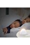 Socket-type LED night light - 3