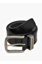 LEE COPPER MENS BELT - 2