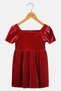 Toddlers Girl Velvet Puff Sleeve Dress, Red - 3