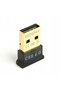 Adaptor nano USB Bluetooth v 4.0 BTD-MINI5 - 2