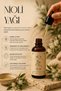 Nioli Niaouli Essential Oil 100% Pure Natural Additive-Free Steam Distillation 30 ml - 2