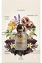 DARKEN Eau de Parfum (EDP) for Men, 50ml | Long-Lasting Fresh Woody Fragrance | Ginger, Mandarin Orange, Bergamot, Maninka Fruit, Lavender, Leather & Woods | By - 3