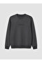 Peak New Season Anthracite Crew Neck Embroidered Men's Thick Sweatshirt - 5