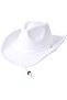 Cowboy hat khaki retro felt adjustable 53-55cm.
