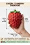 Sensory Squishy Strawberry Fidget Toy for Adults & Kids – Giant 17cm Jumbo Anti-Stress Relief Toy & Office Desk Tension Tackler | Ultra-Stretchy Realistic Berry Squishy with Superior Memory Sn - 6