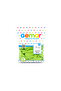 Indoor - Pistachio Green Balloon 10 Inc - 26cm - 100Pcs Bx40 - 2