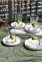 12-Piece Lemon Tea Set with Lemon Decorated Tea Cups and Gold Porcelain Tea Plates - 2