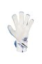 Attrakt Re: Evolution Goalkeeper Gloves 5570555-4310 - 2