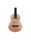 Mini Gitara - Taylor Swift - 4