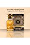 Oil Based Perfume for Men – Inspired by Gentleman Onlyy intense– Alcohol-Free – Warm Spicy Woody Scent with Patchouli, Leather & Amber – Long-Lasting 7–9 Hr Wear (30 ML) - 7