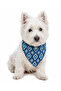 Adjustable Printed H-Type Chest Harness Set with Scarf - 2