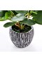 Artificial Potted Fiddle Leaf Plant with Cement Planter,Small Faux Evergreen Tree for Indoor Home and Office Decor,11 Inch - 2