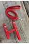Escape-Proof, Bird-Eye-Proof, Durable, Adjustable, Cat Mini Breed Dog Harness Set Cat Harness, Cat Walking Leash, Cat Waist Leash, Cat Leash and Harness - 3