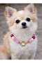 Dog Necklace Pet Necklace Accessory for Small and Medium Breeds - 2