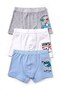 Boys' Boxer 3-Pack Printed (96% Cotton - 4% Elastane)