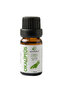 Eucalyptus Essential Oil, 10 ml, 100% Pure Eucalyptus Globulus Oil, 1,8-cineol, Eucalyptus Oil - 3