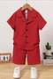 Baby Kids Cotton Shirt Detailed Waffle Summer 2-Piece Shorts Set - Red - 2