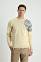 Crew Neck Slim Fit Patterned Wool Knit Sweater - 2