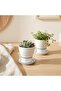 Rio 2-Piece Multi-Purpose Cup 300 Cc - 3