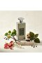 London Oud No. 4 Eau De Parfum 125ml Long Lasting Chypre Unisex Perfume with Vanilla & Patchouli - 4