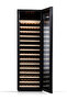 Wine Cooler Bottle Cabinet – Freestanding Beverage Refrigerator (Black) - 2