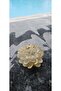 Lotus Mum - 3