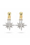 Imported Special Series Viola Earrings