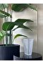 Imported Glass Vase - 4