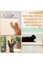 2Rolls Cat Scratching Mat Furniture Protectors DIY Self-Adhesive Climbing Cat Scratcher Anti Scratc - 2