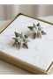 Polar Star Geometric Model Luxury Women's Earrings - 2