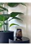Imported Coffee Glass Vase