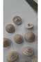 Ǝe Polyester Antique Button Mussel Effect mm 110 Pcs - 3