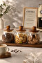 700 ml Acacia Lid Glass Jar Set of 3, Storage Jar with Wooden Lid, Coffee Sugar Cookie Nut Jar - 2