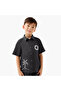 Boys Shirt and Shorts Set with Embroidery - Cotton - Short Sleeves - Collared Neck - 2