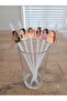 12-Piece Girl Concept Party Straws and 12-Piece Cupcake Toothpick Decoration Set.