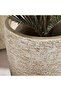 Cordova Polyresin Planter56.5x56.5x101cm - Ivory - 2