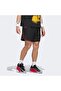 Anted Cl Short Men's Sports Shorts Kg9094