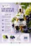 Natural Antibacterial Liquid Soap Grape & Bilberry 300ML| Antioxidant Care with Gentle Protection - 3
