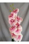 Pembe Orkide (yapay) - 2