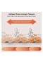 Ab Roller Wheel with Elbow Support & Knee Pad Mat, Ab Roller with Counter, Automatic Rebound Abdominal - 3