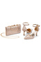 Ankle-Strap Pointed Toe Evening Shoes and Bag Set