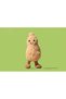 Amusable Peanut Plush Doll, Super Soft Fluffy Food Shaped Stuffed Toy, Lovely Gift for Toddlers Children Room Desk Home Decoration Ornament - 3