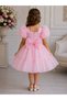 Girl's Evening Dress Balloon Sleeves Pearl Detail Fluffy Skirt Special Occasion Dress - 5