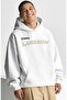 Zarıa Larsson Singer Back Printed Unisex Oversize Premium Hoodie - 2