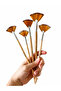 5-Piece Fan Paint Brush Set, Synthetic Bristle Art Brushes with Wooden Handle, for Acrylic, Oil Painting