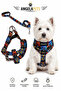 Adjustable Scarf, Chest Harness and Travel Strap Set of 3