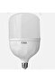 48 Torch Ampul 6500 K - 3