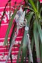 Elf Asa Design Mystic Stone Hanging Gothic Bun Hairpin 18cm Silver - Stick Hairpin Japanese Hair Stick - 5