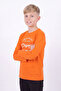 4-Pack Boys' Round Neck Sweatshirt with Print Detail - 4