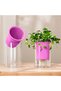 Self-watering flower pots, 1-pack, with a water reservoir, transparent self-watering flower pots, suitable for indoor plants - purple. - 4